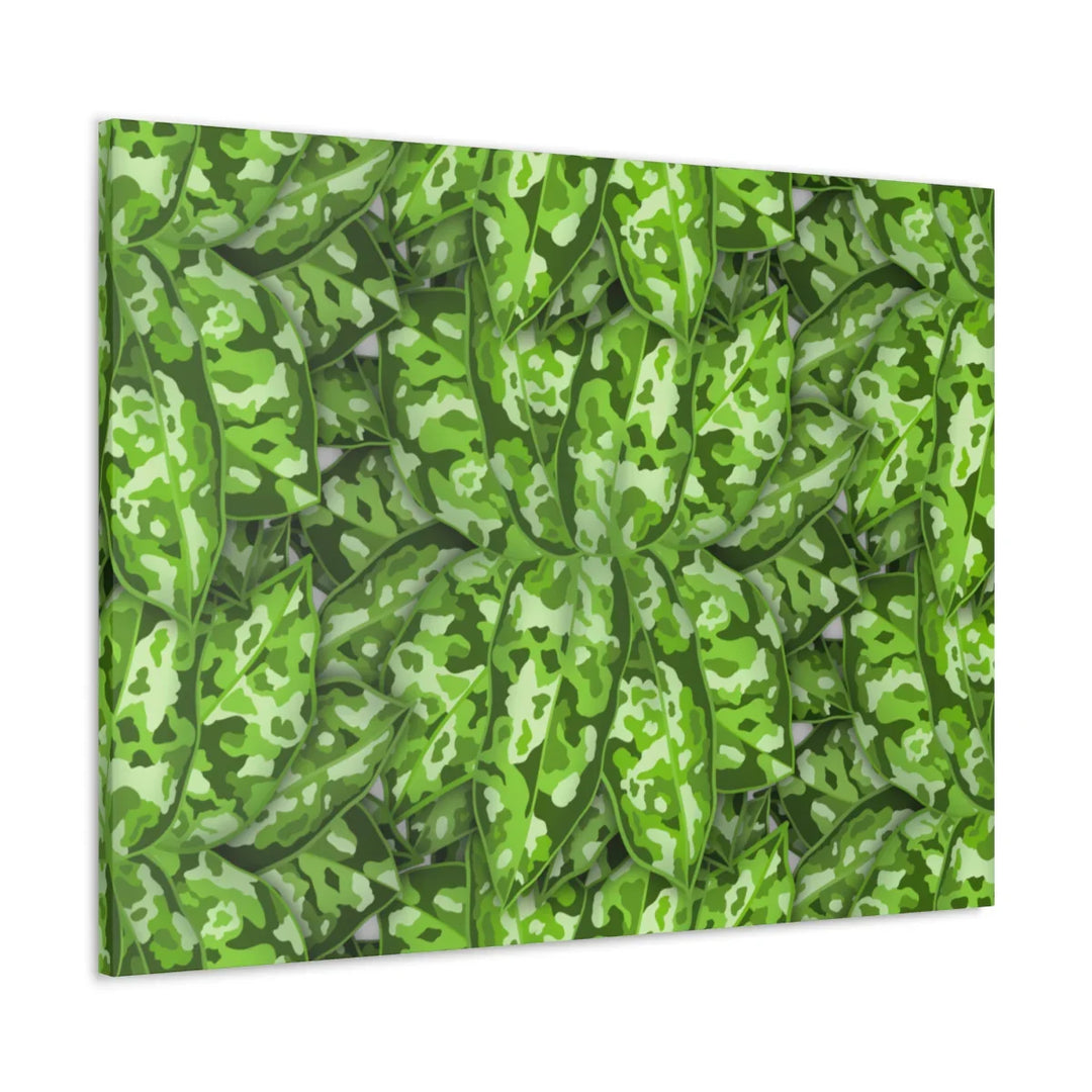 Aglaonema Pictum Canvas - Rare Camouflage Leaf Print Canvas Art Print