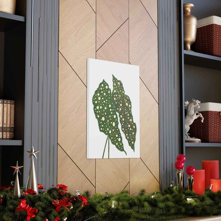 Begonia Maculata Canvas | Premium Canvas Art Print - Matte Finish, Durable Wall Decor