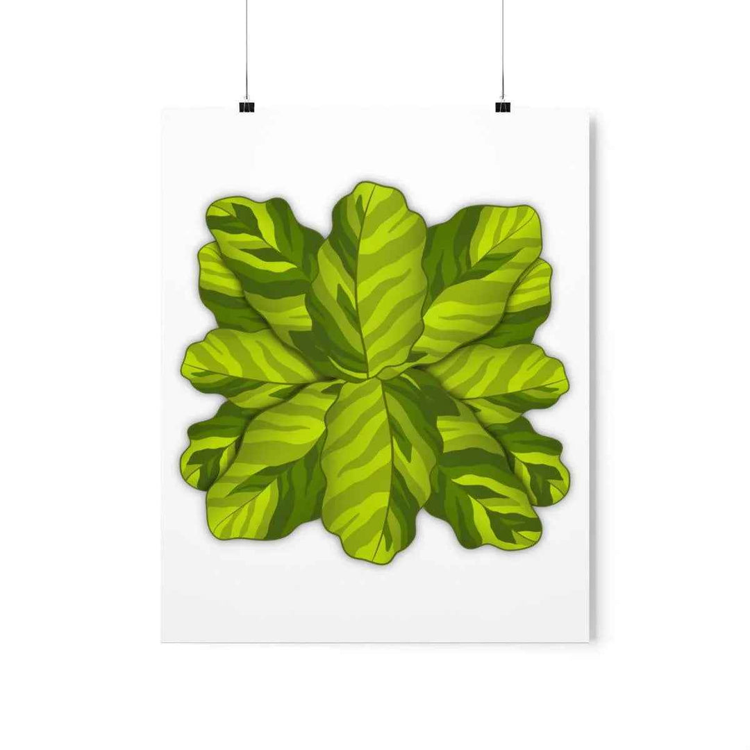 Calathea Yellow Fusion Print – Botanical Wall Art on Museum-Grade Paper Unframed