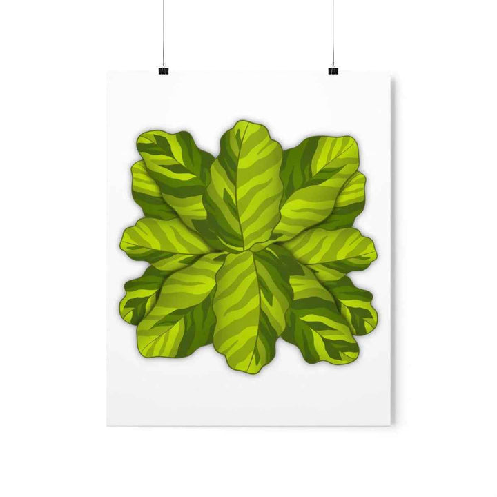 Calathea Yellow Fusion Print – Botanical Wall Art on Museum-Grade Paper Unframed
