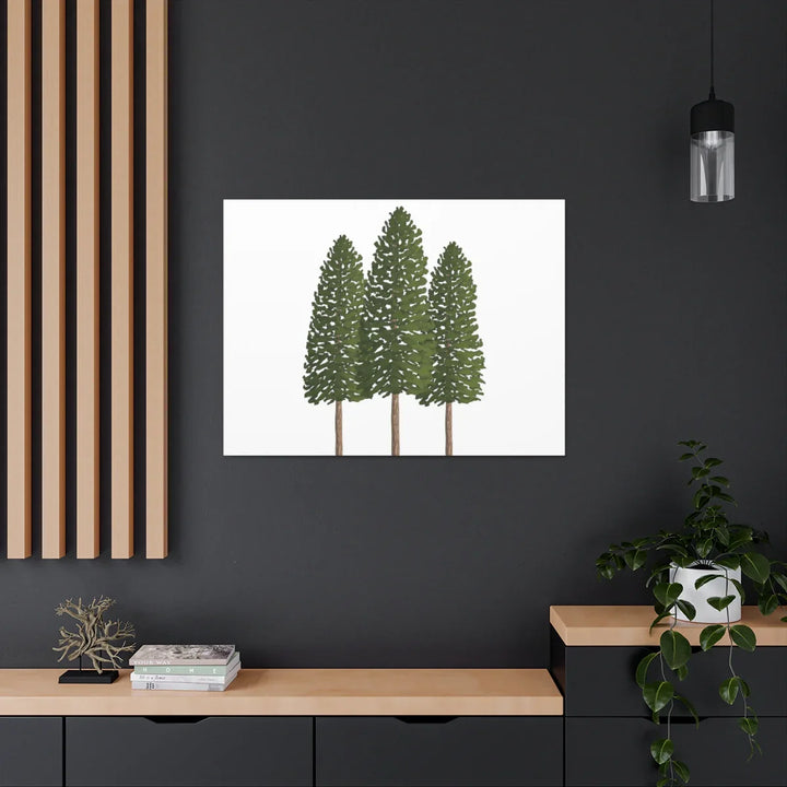 Ponderosa Pine Canvas - Large Stretched Cotton Canvas Art Print With Matte Finish