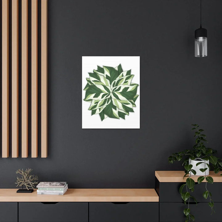 Calathea White Fusion Canvas | Indoor Wall Art - Matte Finish Botanical Canvas Art Print - Laura Christine Photography & Design