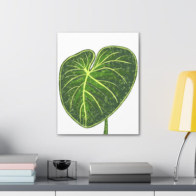 Philodendron Gloriosum Canvas, Canvas, Laura Christine Photography & Design, Art & Wall Decor, Canvas, Hanging Hardware, Home & Living, Indoor, Laura Christine Photography & Design, laurachristinedesign.com