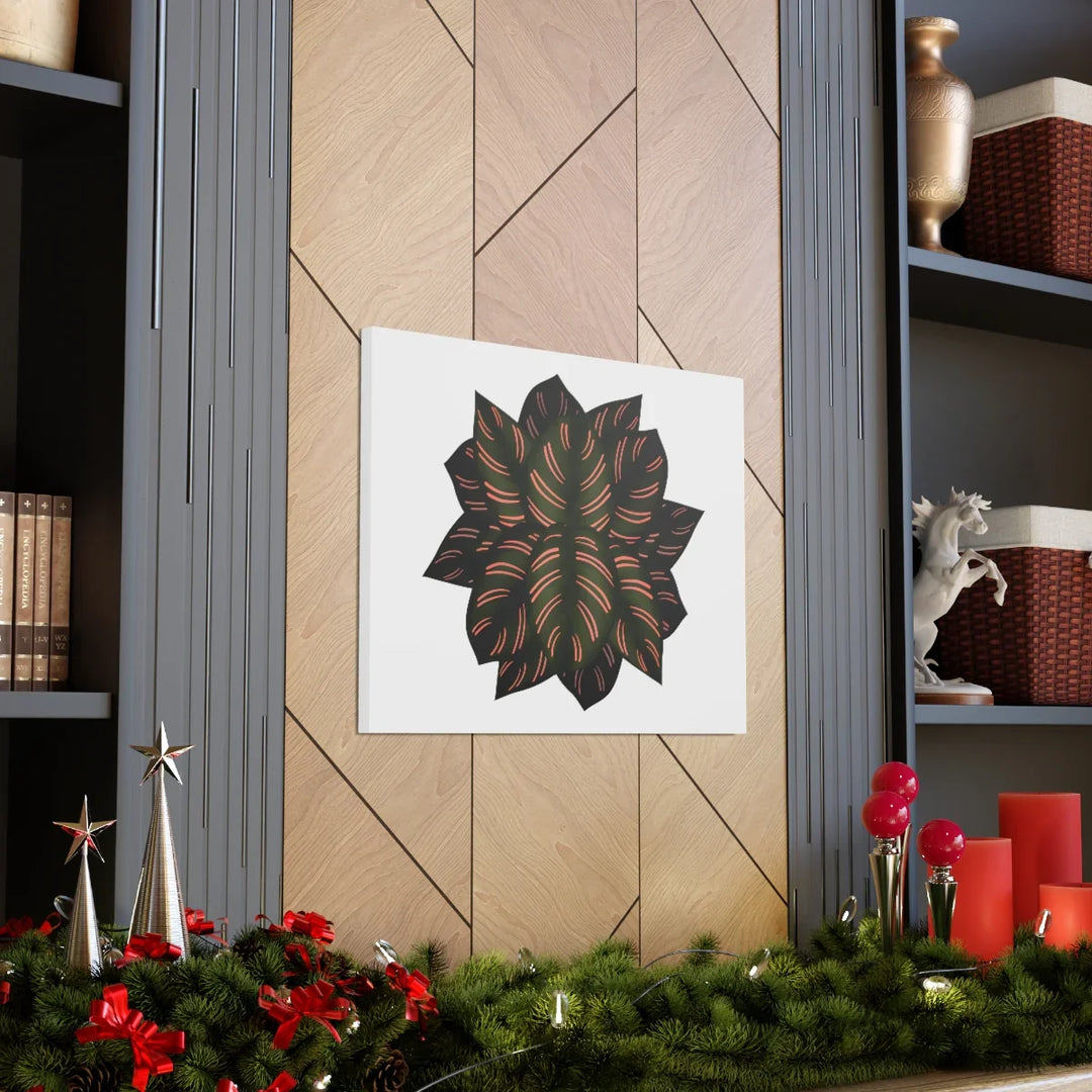 Calathea Pinstripe Canvas – Botanical Canvas Art Print | Matte Finish Wall Decor