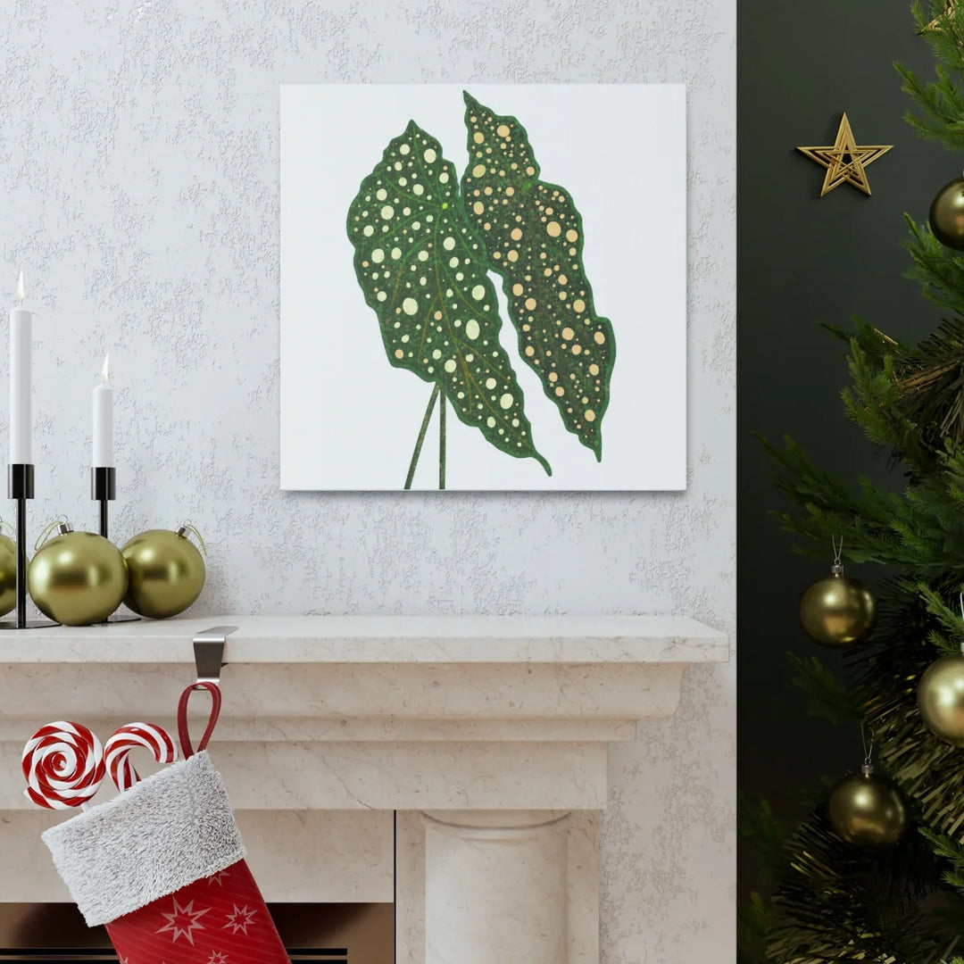 Begonia Maculata Canvas | Premium Canvas Art Print - Matte Finish, Durable Wall Decor - Laura Christine Photography & Design