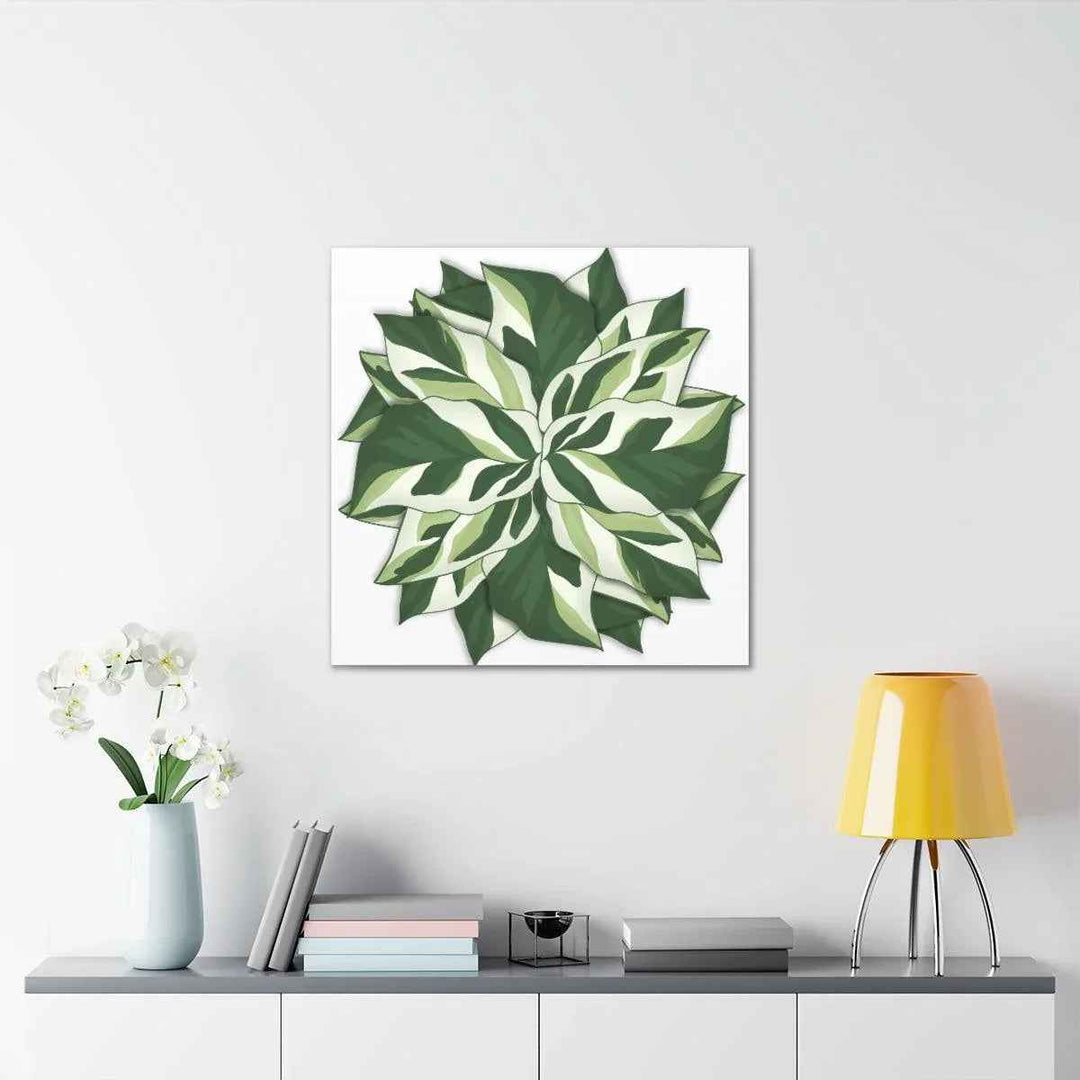 Calathea White Fusion Canvas | Indoor Wall Art - Matte Finish Botanical Canvas Art Print