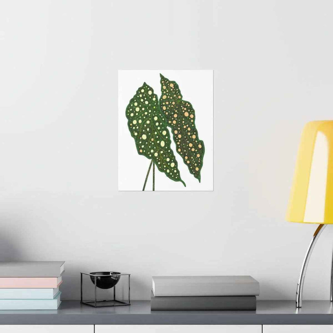 Begonia Maculata Print - Botanical Wall Art on Museum Grade Paper | Matte Finish Unframed