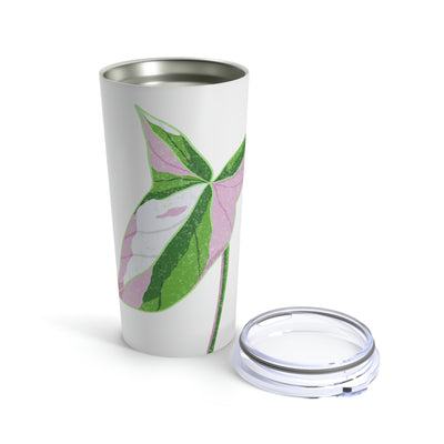 Syngonium Tricolor Tumbler