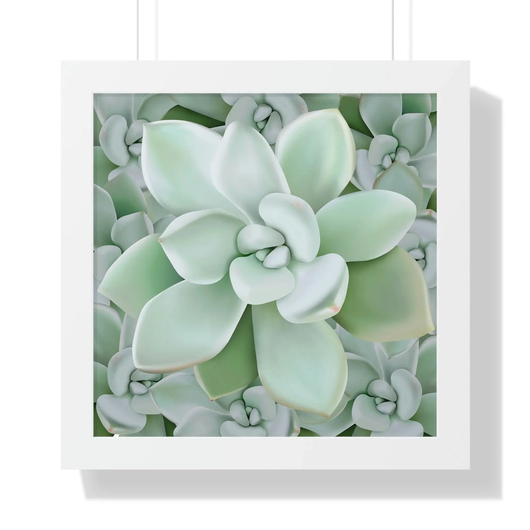 Pachyveria Haagei Succulent Pattern Framed Print, Poster, Printify, Framed, Home & Living, Indoor, Paper, Posters, Laura Christine Photography & Design, laurachristinedesign.com