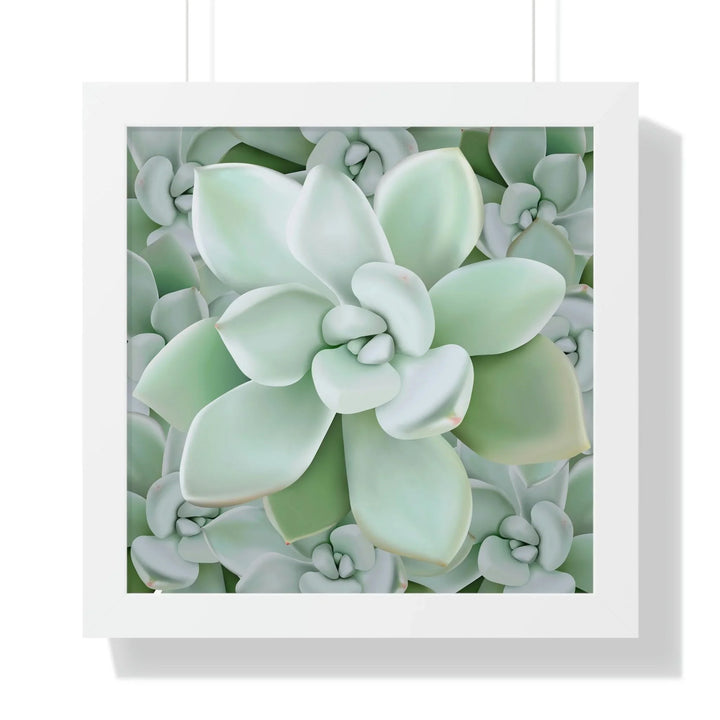 Pachyveria Haagei Succulent Pattern Framed Print, Poster, Printify, Framed, Home & Living, Indoor, Paper, Posters, Laura Christine Photography & Design, laurachristinedesign.com