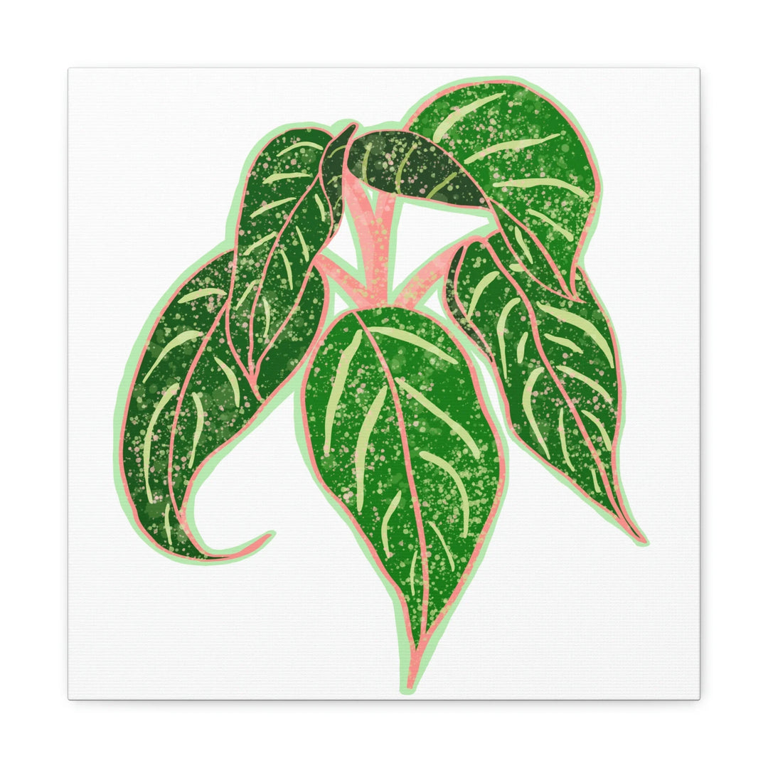 Aglaonema Plant Canvas | Sparkling Plant Artwork - Colorfast Canvas Art Print Decor