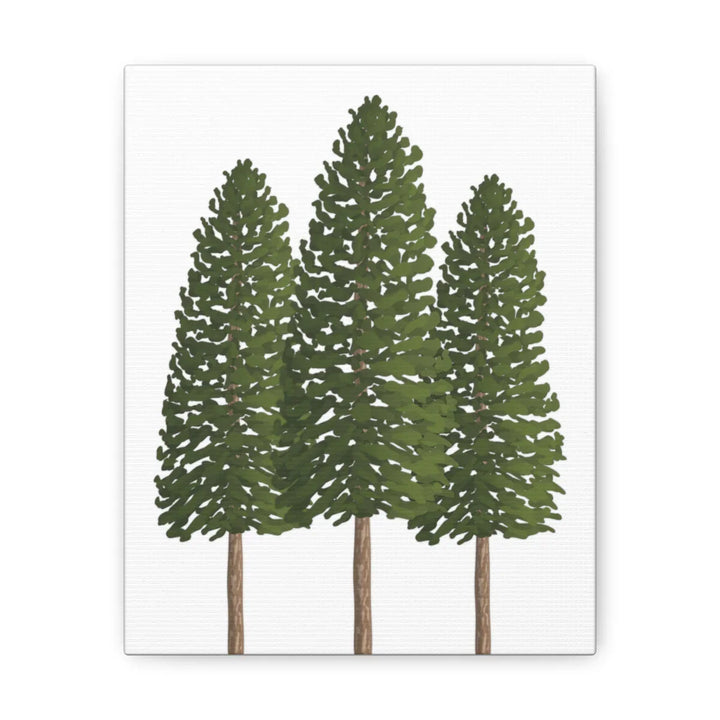 Ponderosa Pine Canvas - Large Stretched Cotton Canvas Art Print With Matte Finish