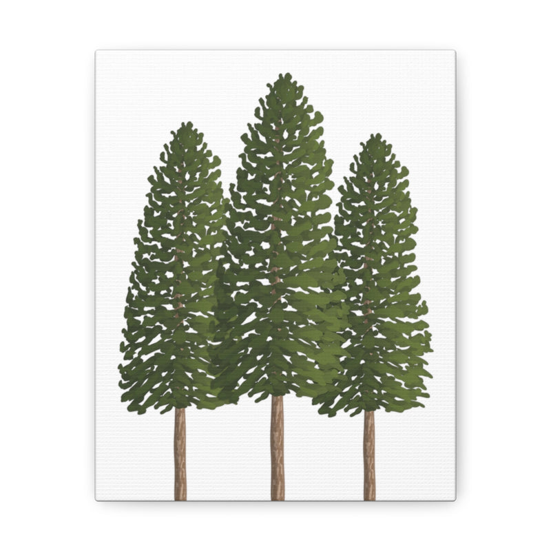 Ponderosa Pine Canvas