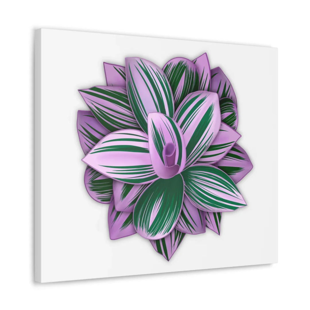 Tradescantia Nanouk Canvas – Botanical Canvas Art Print | Matte Finish Wall Decor - Laura Christine Photography & Design
