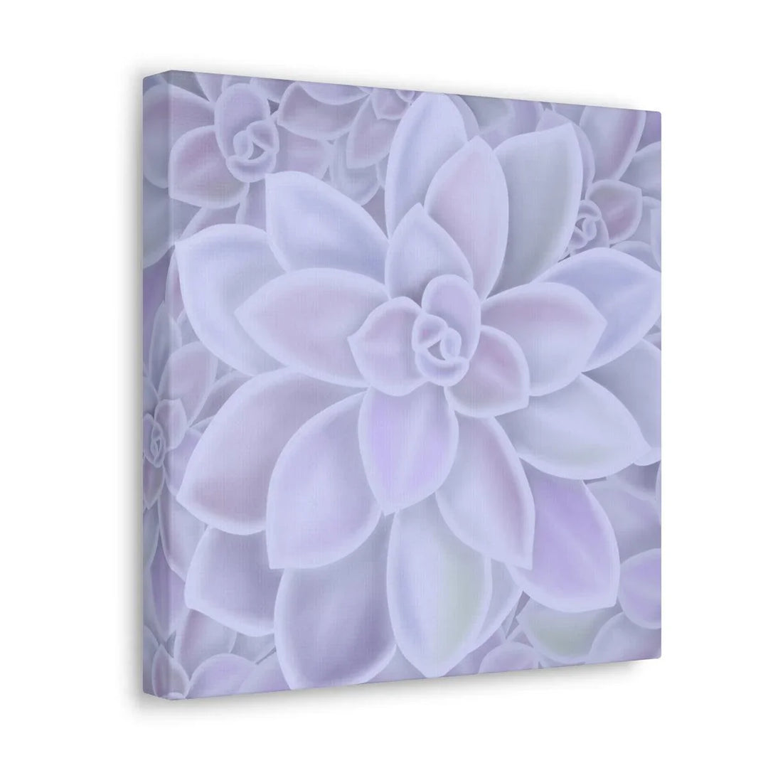 Graptopetalum 'Murasaki' Succulent Canvas, Canvas, Laura Christine Photography & Design, Art & Wall Decor, Canvas, Hanging Hardware, Home & Living, Indoor, Laura Christine Photography & Design, laurachristinedesign.com