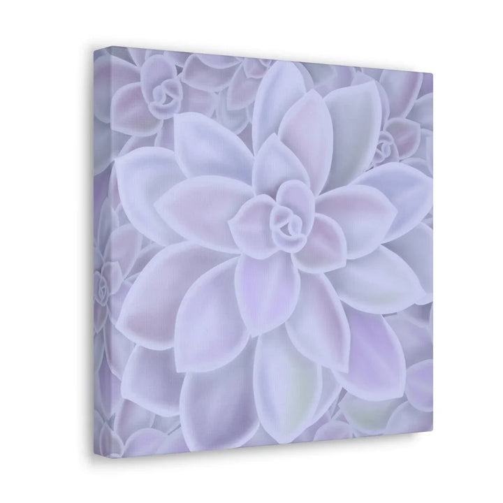 Graptopetalum 'Murasaki' Succulent Canvas, Canvas, Laura Christine Photography & Design, Art & Wall Decor, Canvas, Hanging Hardware, Home & Living, Indoor, Laura Christine Photography & Design, laurachristinedesign.com