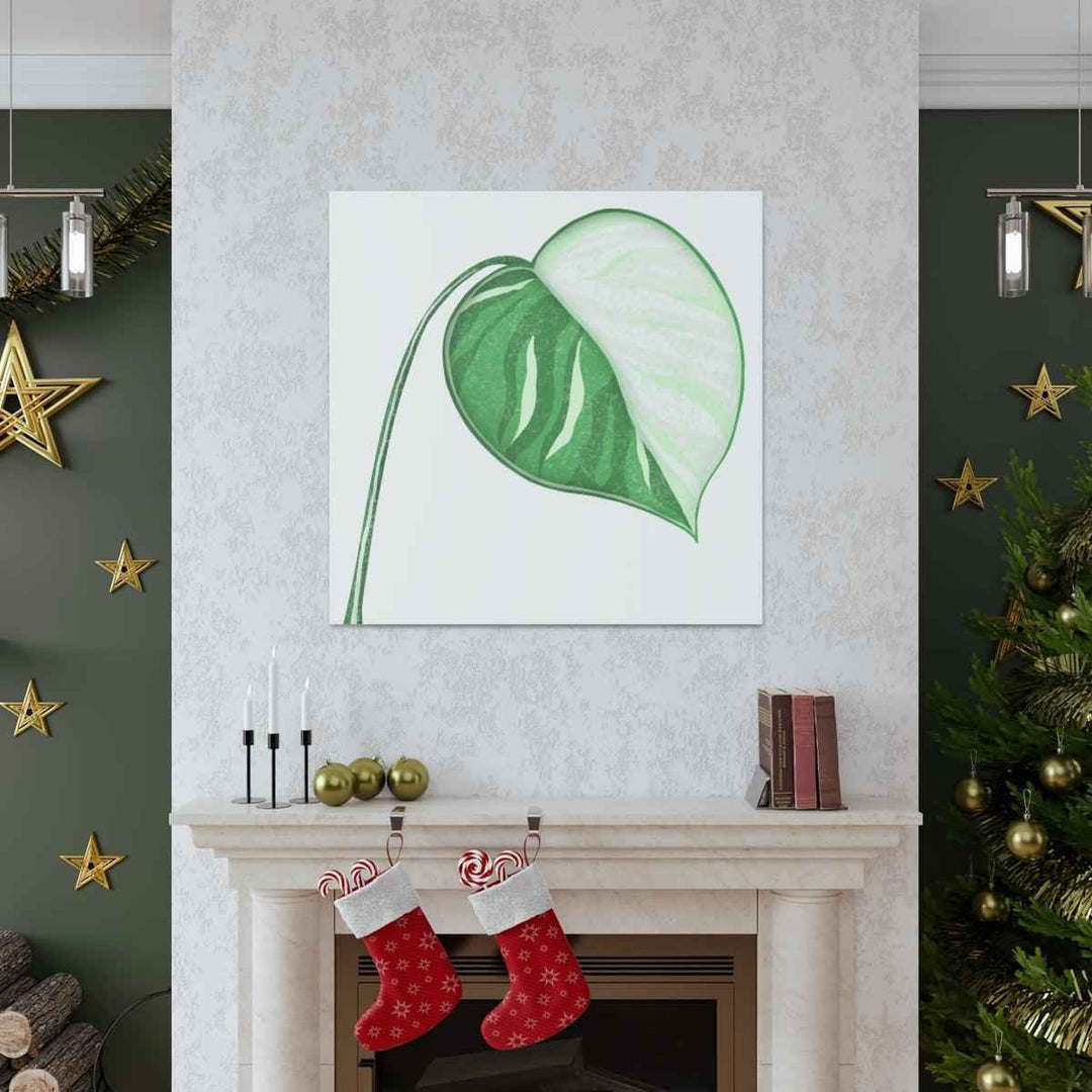 Monstera Albo Canvas | Large Tropical Leaf Artwork - Matte Finish Canvas Art Print