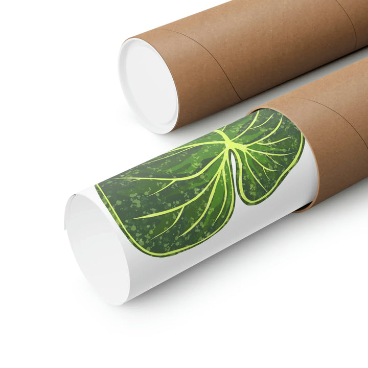 Philodendron Gloriosum Print Botanical Wall Art – Tropical Leaf Poster on Museum-Grade Paper Unframed - Laura Christine Photography & Design