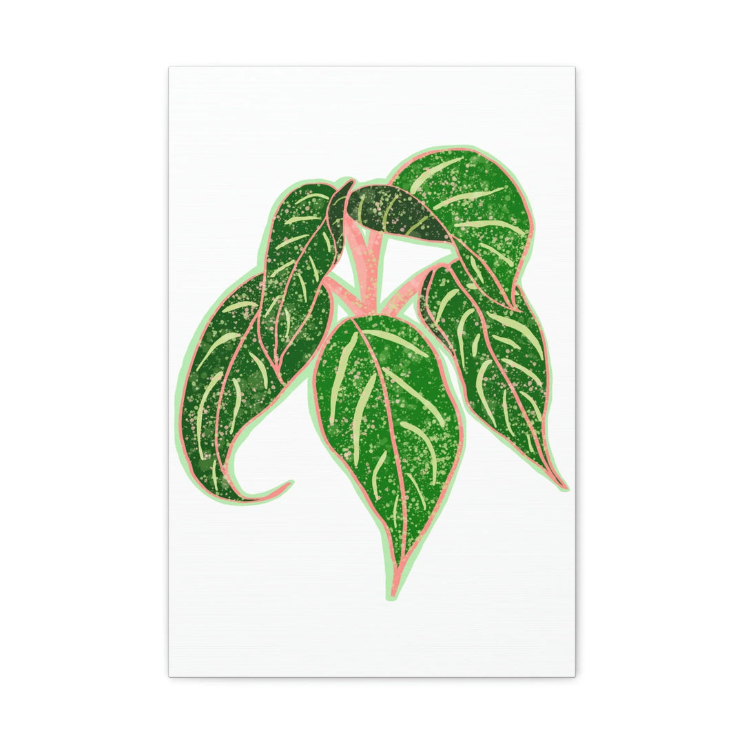 Aglaonema Plant Canvas | Sparkling Plant Artwork - Colorfast Canvas Art Print Decor