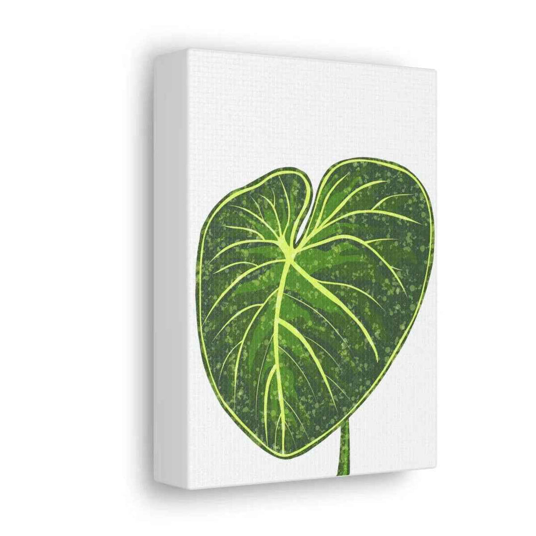 Philodendron Gloriosum Canvas - Stretched Canvas Art Print | Matte Indoor Wall Art