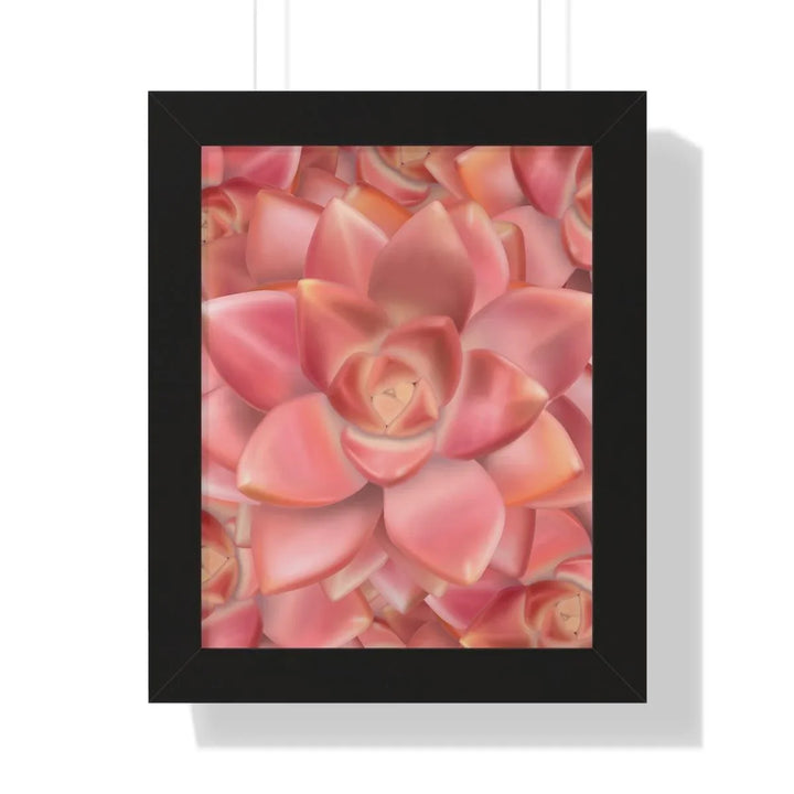 Graptosedum 'California Sunset' Succulent Framed Print, Poster, Laura Christine Photography & Design, Framed, Home & Living, Indoor, Paper, Posters, Laura Christine Photography & Design, laurachristinedesign.com