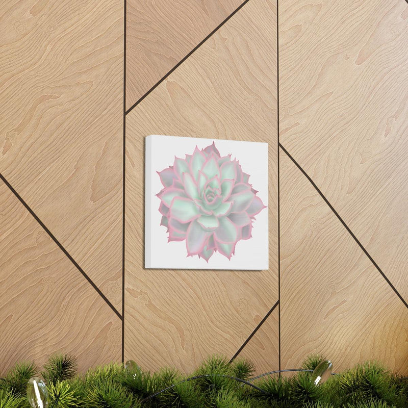 Echeveria Violet Queen Succulent Canvas, Canvas, Laura Christine Photography & Design, Art & Wall Decor, Canvas, Hanging Hardware, Home & Living, Indoor, Laura Christine Photography & Design, laurachristinedesign.com