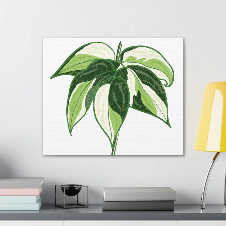 Philodendron Canvas Print - Cream Splash Variegated Plant Art on Matte Cotton Canvas