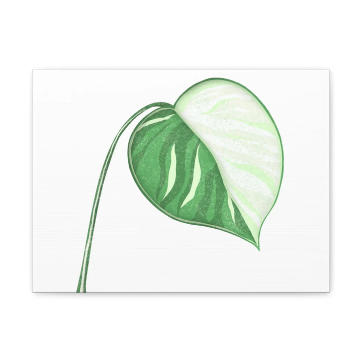 Monstera Albo Canvas | Large Tropical Leaf Artwork - Matte Finish Canvas Art Print - Laura Christine Photography & Design