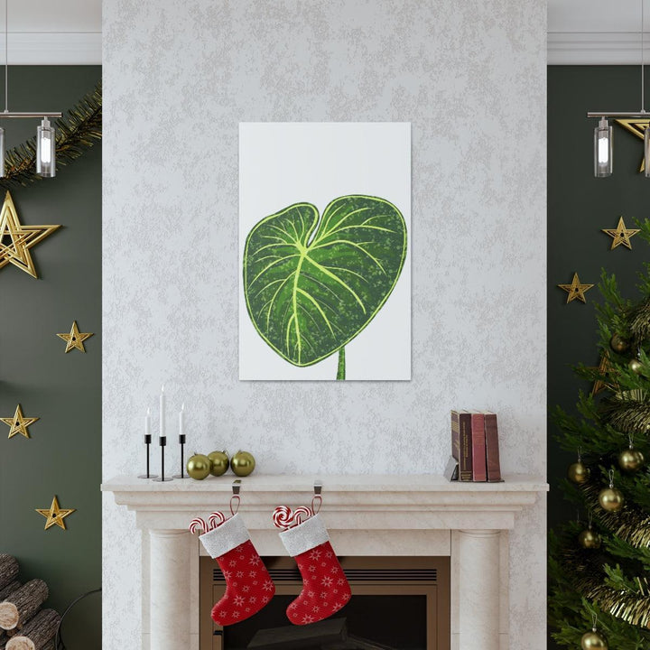 Philodendron Gloriosum Canvas - Stretched Canvas Art Print | Matte Indoor Wall Art - Laura Christine Photography & Design