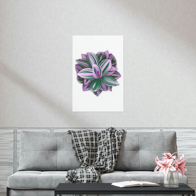 Tradescantia Nanouk Print