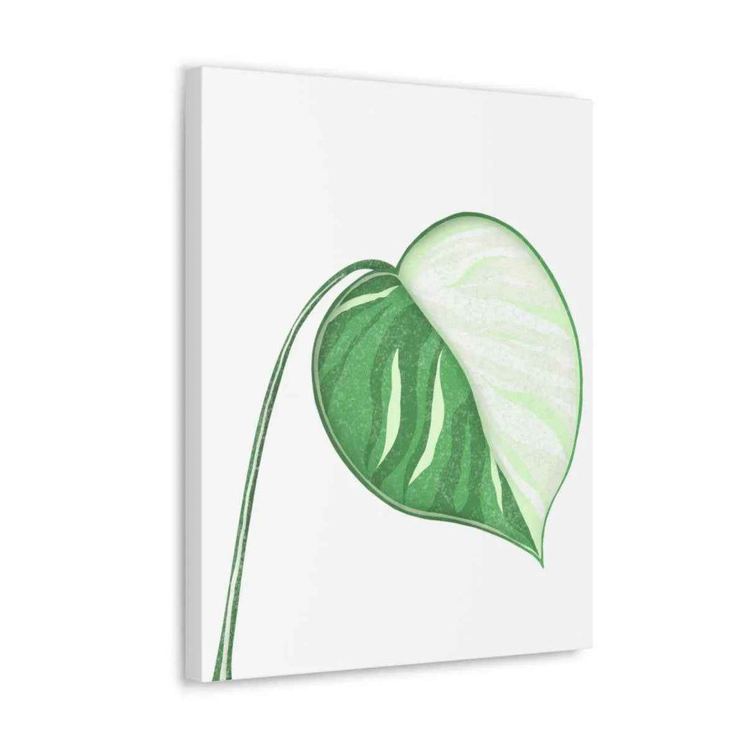 Monstera Albo Canvas | Large Tropical Leaf Artwork - Matte Finish Canvas Art Print