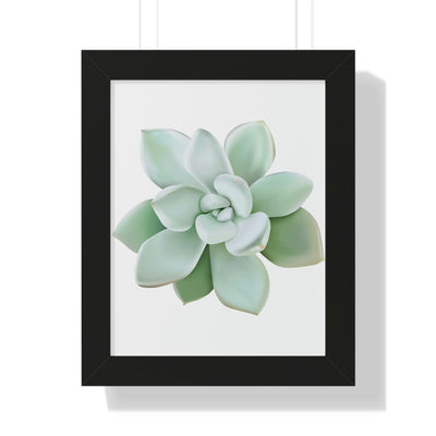 Pachyveria Haagei Succulent Framed Print, Poster, Printify, Framed, Home & Living, Indoor, Paper, Posters, Laura Christine Photography & Design, laurachristinedesign.com