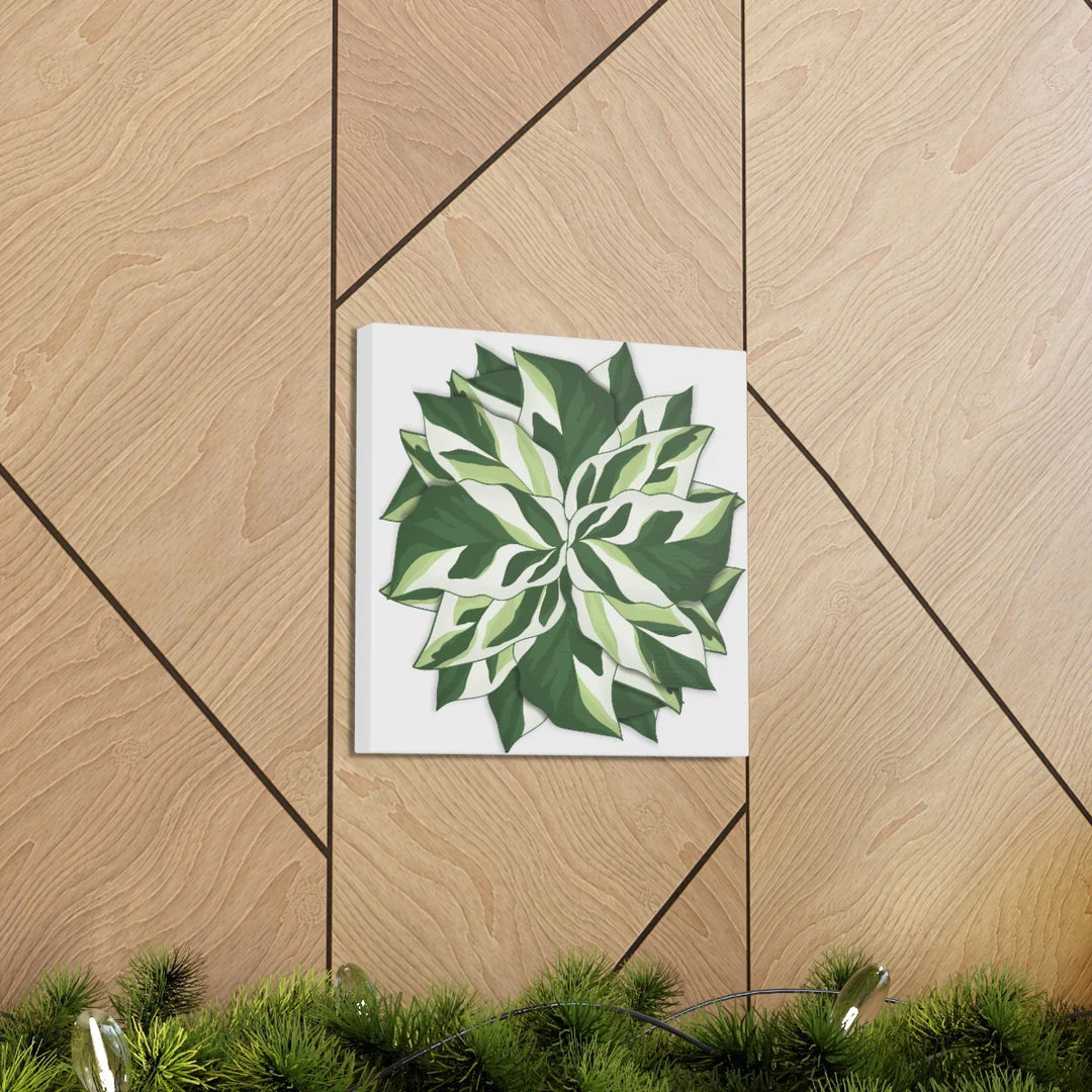 Calathea White Fusion Canvas | Indoor Wall Art - Matte Finish Botanical Canvas Art Print - Laura Christine Photography & Design
