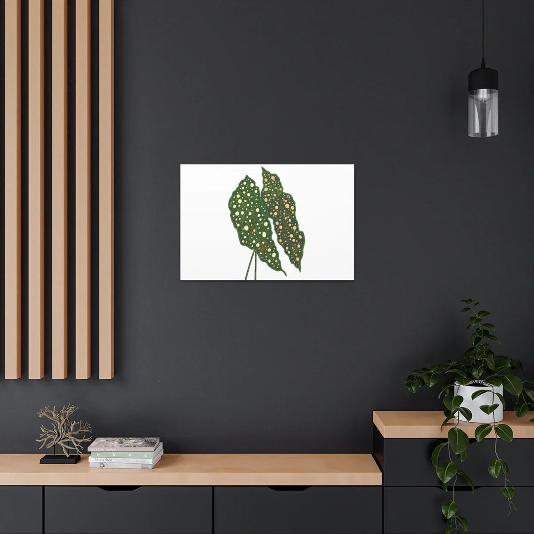 Begonia Maculata Canvas | Premium Canvas Art Print - Matte Finish, Durable Wall Decor - Laura Christine Photography & Design