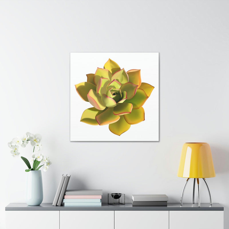 Noble Aeonium Succulent Canvas, Canvas, Printify, Art & Wall Decor, Canvas, Hanging Hardware, Home & Living, Indoor, Laura Christine Photography & Design, laurachristinedesign.com