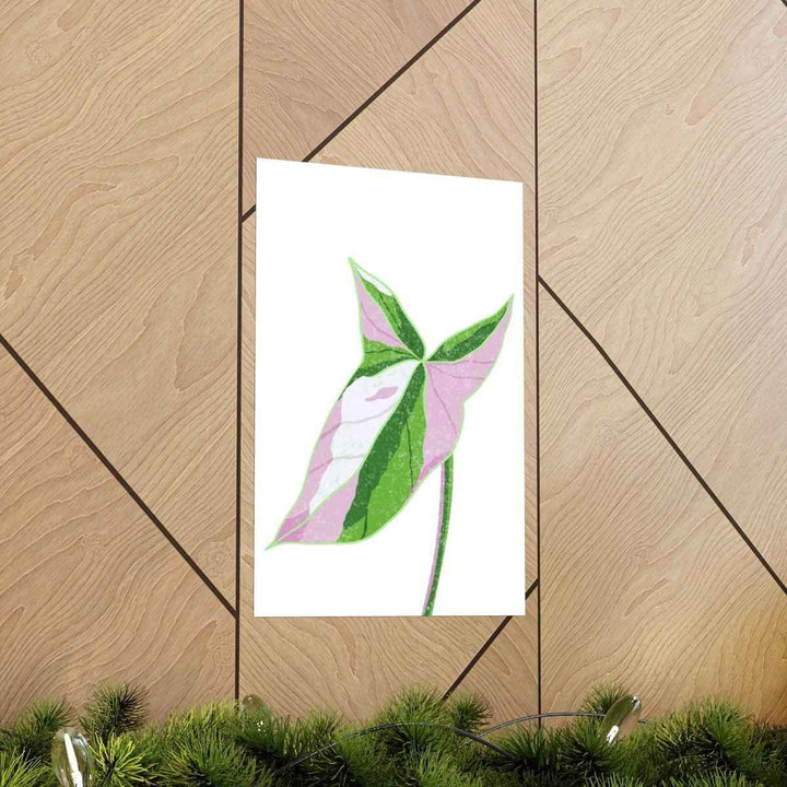 Syngonium Tricolor Print – Botanical Wall Art | Variegated Leaf Poster Unframed