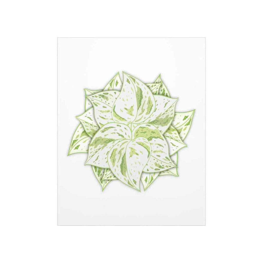 Snow Queen Pothos Print – Variegated Pothos Art on Museum Grade Paper Unframed