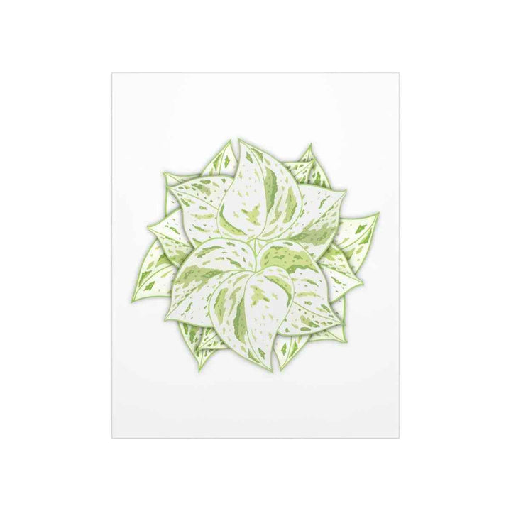 Snow Queen Pothos Print – Variegated Pothos Art on Museum Grade Paper Unframed