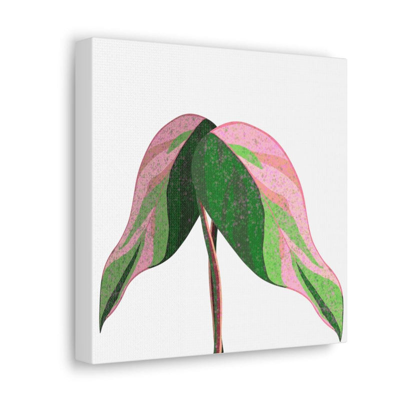 Pink Princess Philodendron Canvas, Canvas, Laura Christine Photography & Design, Art & Wall Decor, Canvas, Hanging Hardware, Home & Living, Indoor, Laura Christine Photography & Design, 