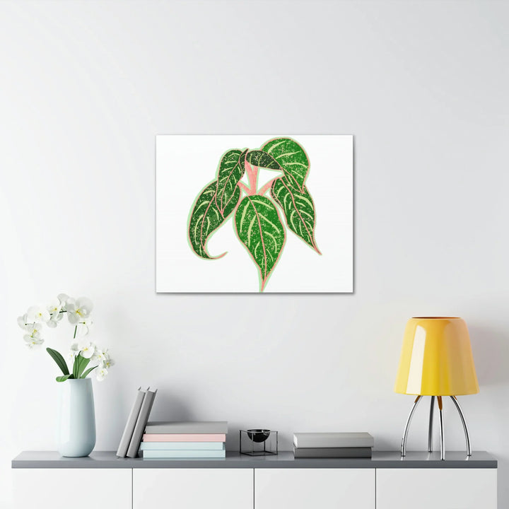 Aglaonema Plant Canvas | Sparkling Plant Artwork - Colorfast Canvas Art Print Decor