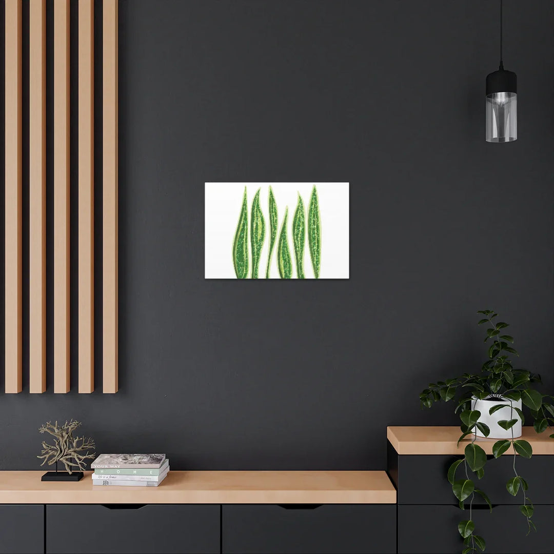 Snake Plant Canvas | Botanical Canvas Decor - Matte Finish Artwork for Living Room - Laura Christine Photography & Design