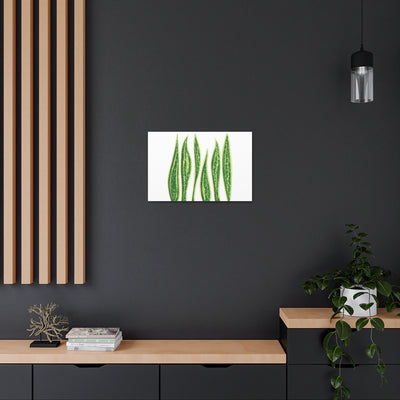 Snake Plant Canvas