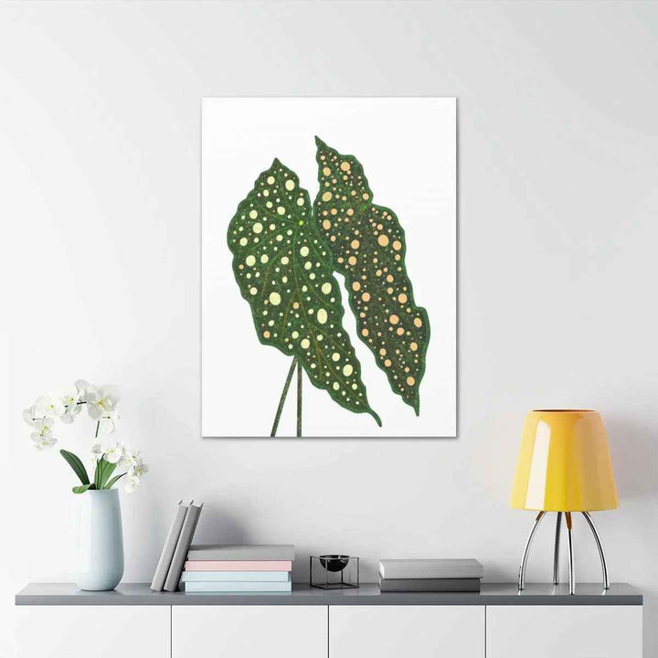 Begonia Maculata Canvas | Premium Canvas Art Print - Matte Finish, Durable Wall Decor