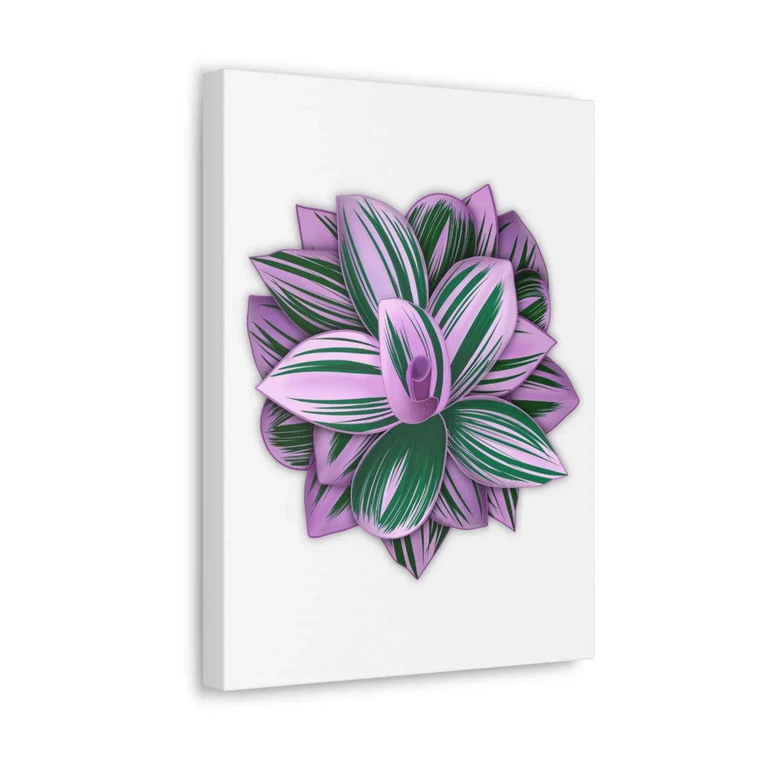 Tradescantia Nanouk Canvas – Botanical Canvas Art Print | Matte Finish Wall Decor - Laura Christine Photography & Design
