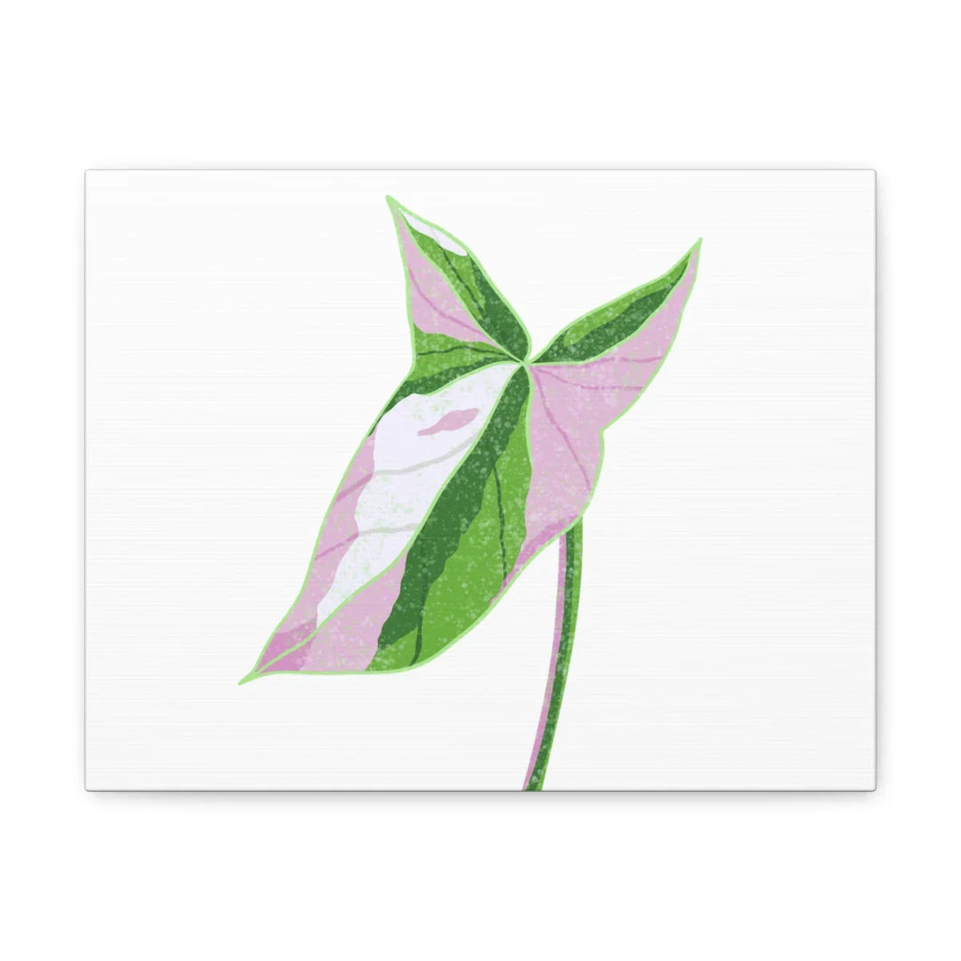 Syngonium Tricolor Canvas | Botanical Canvas Art Print With Matte Finish - Laura Christine Photography & Design