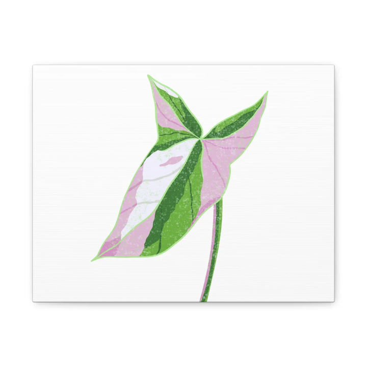 Syngonium Tricolor Canvas | Botanical Canvas Art Print With Matte Finish - Laura Christine Photography & Design
