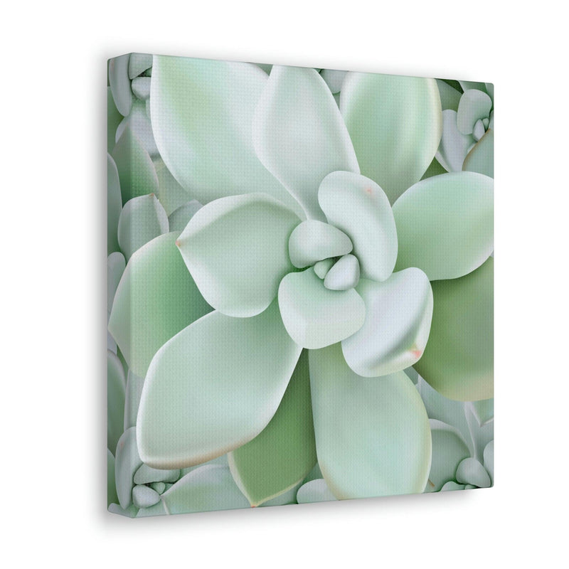 Pachyveria Haagei Succulent Pattern Canvas, Canvas, Printify, Art & Wall Decor, Canvas, Hanging Hardware, Home & Living, Indoor, Laura Christine Photography & Design, laurachristinedesign.com