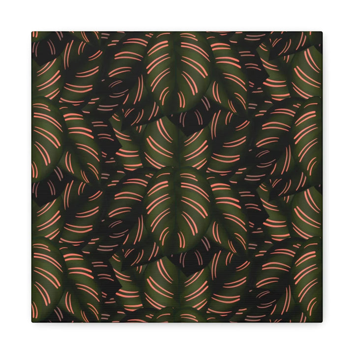 Calathea Pinstripe Canvas – Botanical Canvas Art Print | Matte Finish Wall Decor