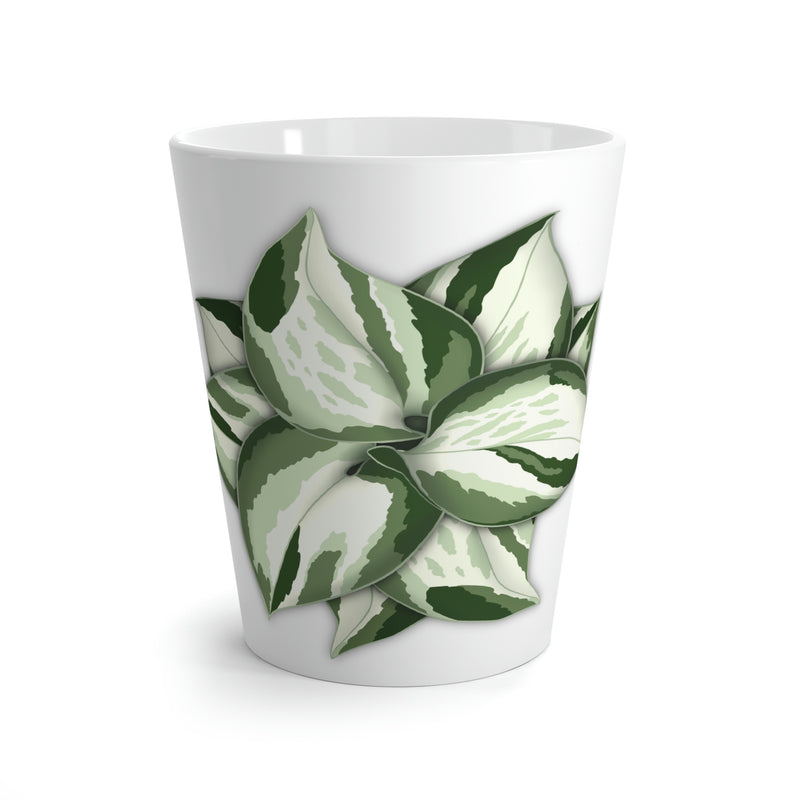 Taza Manjula Pothos