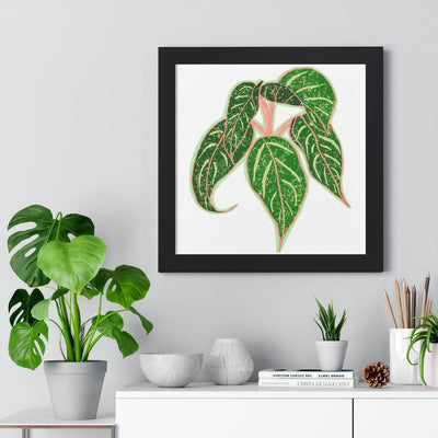 Sparkling Sarah Agalonema (Chinese Evergreen) Framed Print, Poster, Laura Christine Photography & Design, Aglaonema, Bottle, Canvas Bag, Chinese Evergreen, Coffee, Drinkware, Framed, Home & Living, Indoor, Paper, Posters, Reusable, Shopping Bag, Sparklng Sarah, Tea, Tote Bag, Travel, Tumbler, Water, Laura Christine Photography & Design, laurachristinedesign.com